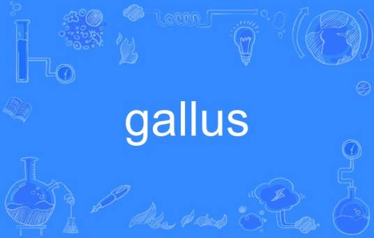 gallus_百度百科