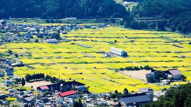 日本最有钱的村子：从出生就开始发钱，为什么没有人愿意去住？_百科TA说