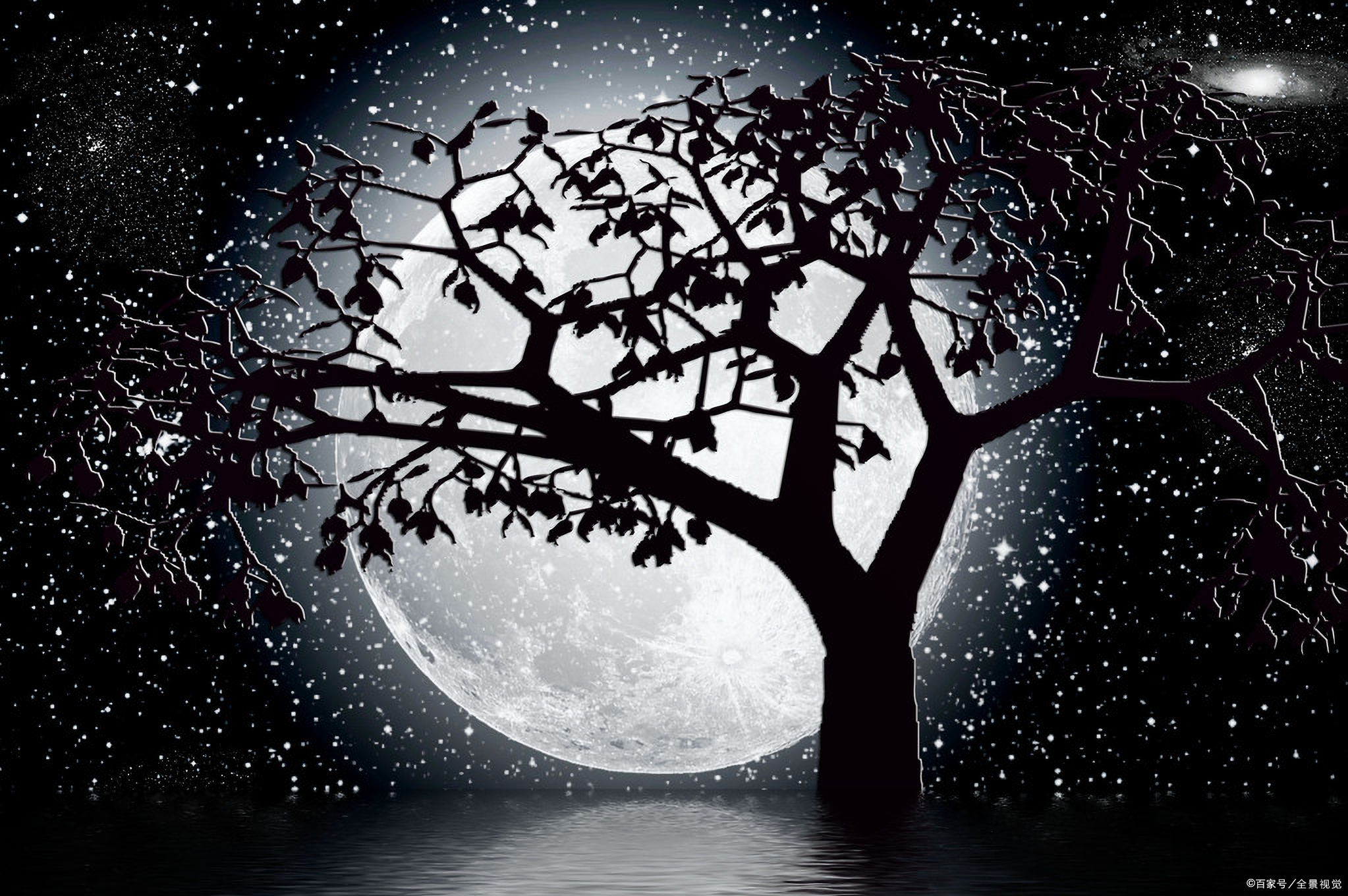 一首思乡诗，却写出了他人感情，白居易有什么妙笔？_百科TA说