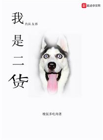 我的队友都是二货