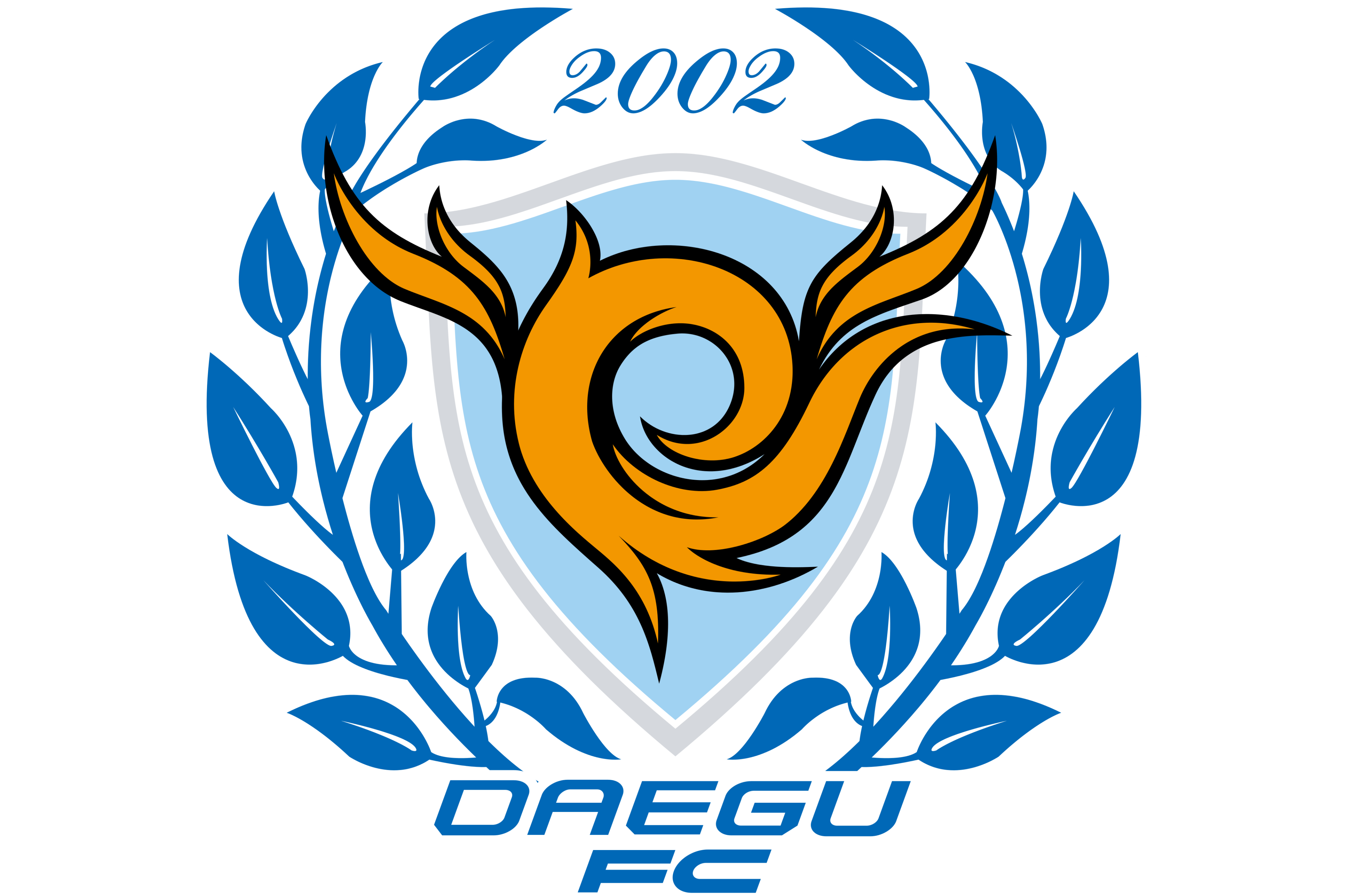 大邱足球俱乐部