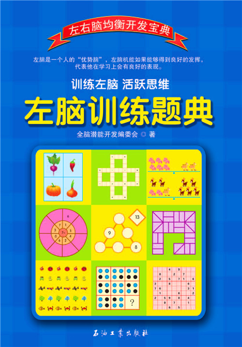 左脑训练题典