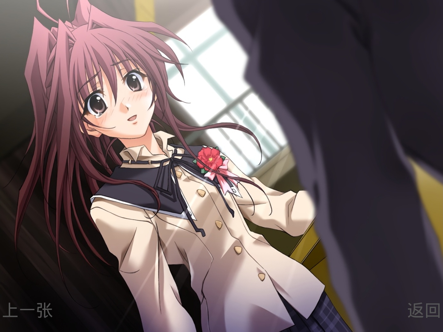 秋之回忆4:从今以后