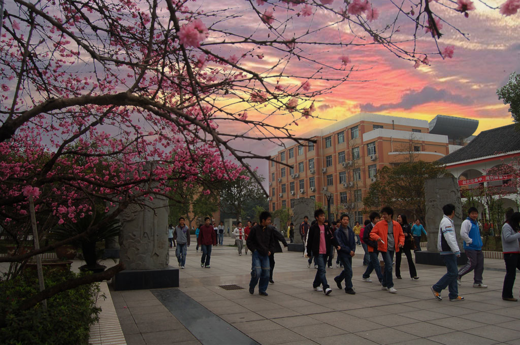  p>重庆市大足中学,位于重庆市 a target="_blank" href="/item/大足