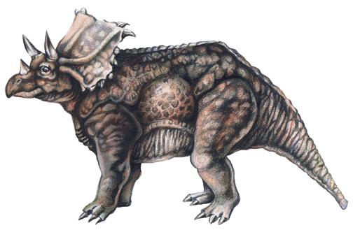  p>开角龙(学名:chasmosaurus)又名加斯莫龙,隙龙,裂头龙或裂角龙,是