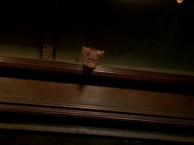 捕鼠记mousehunt(1997)