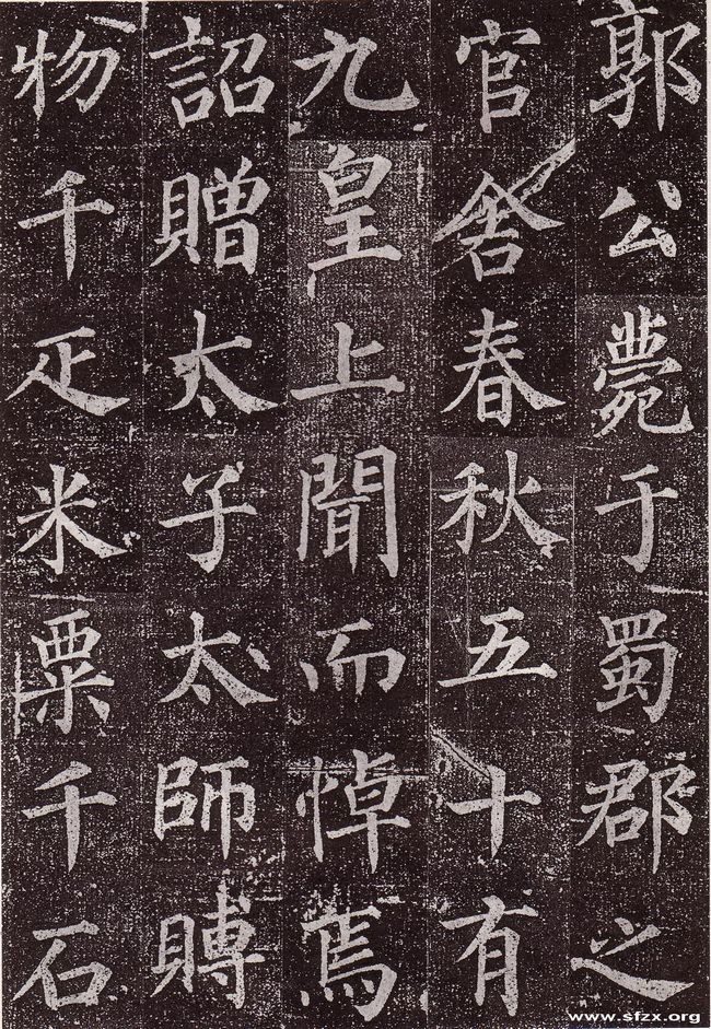 郭虚已墓志