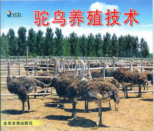 驼鸟养殖技术