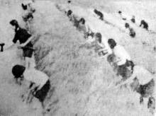 长沙农村合作化运动