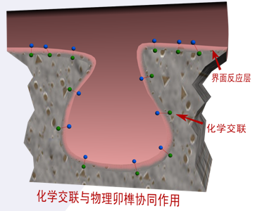  p>混凝土微观结构是一种孔缝特性,这是因为水泥在水化过程中除水化以