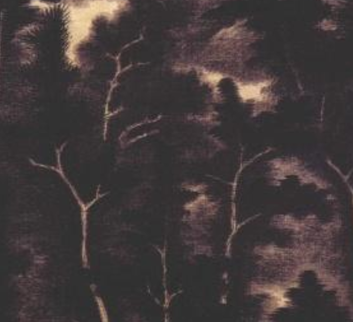 《夏山过雨图》是清代画家 a href="#" data-lemmaid="7221899">龚贤 