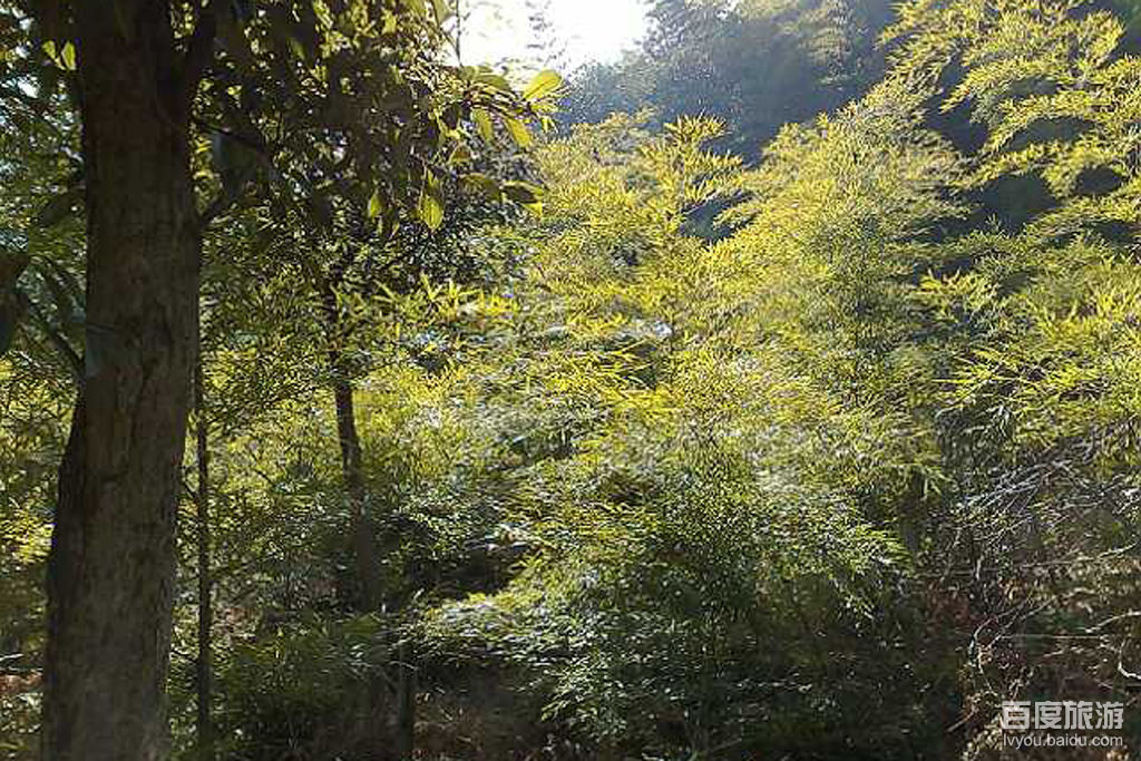 小和山