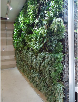  p data-id="gnhdc4ma6e">武汉阁林方胜绿墙设