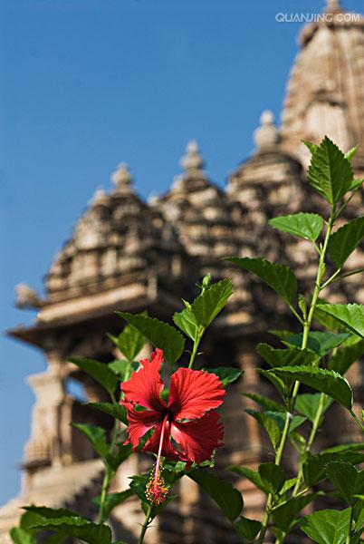  p data-id="gnwlbishle">印度中央邦(madhya pradesh).