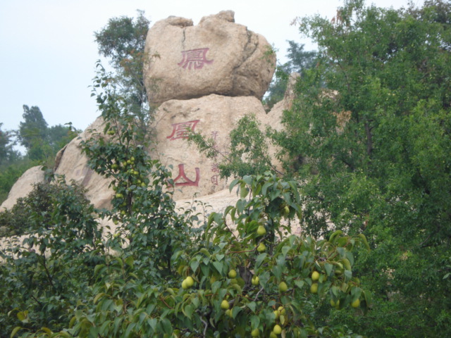 凤凰山