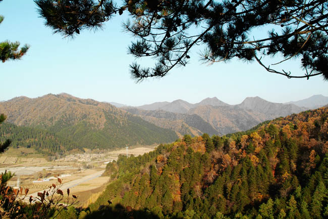 甘肃省小陇山国家森林公园