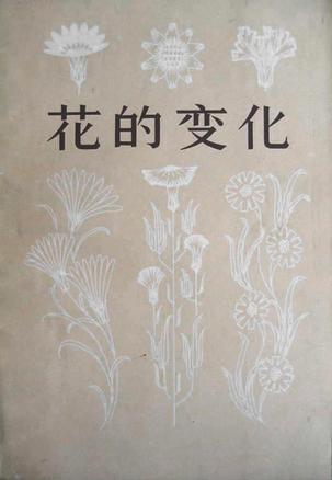 花的变化