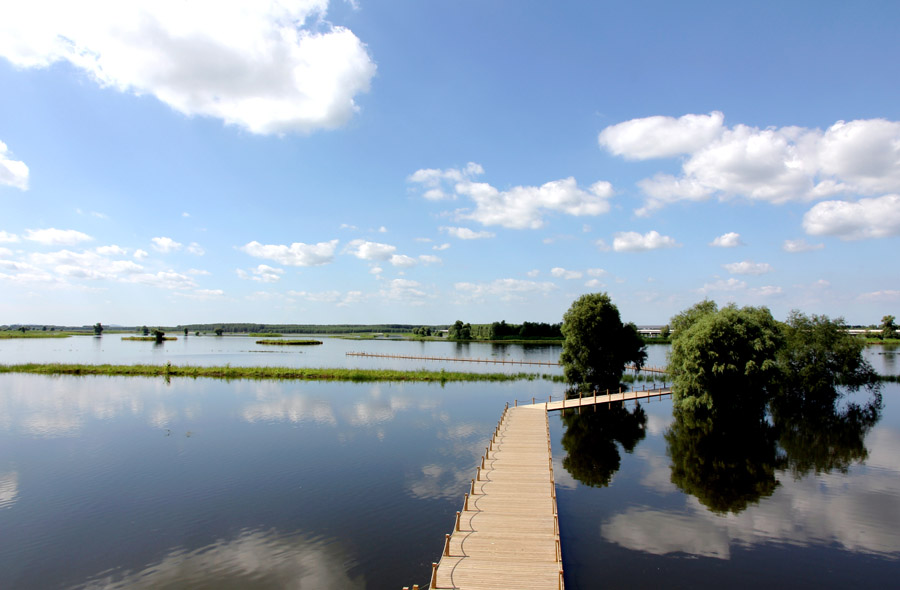 辽河湿地