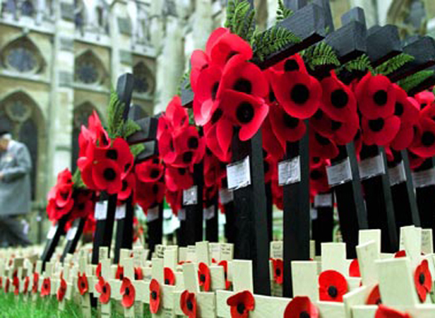  p>阵亡将士纪念日(remembrance day),即"英联邦国家停战纪念日",设定