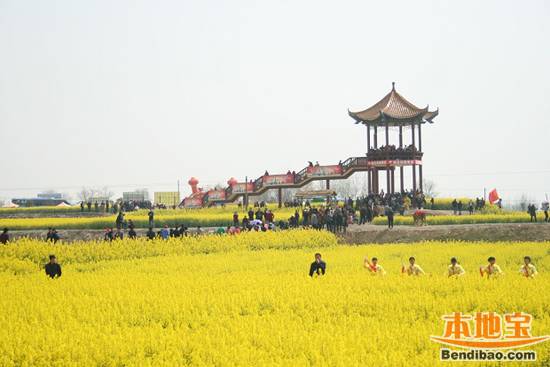 荆门油菜花节