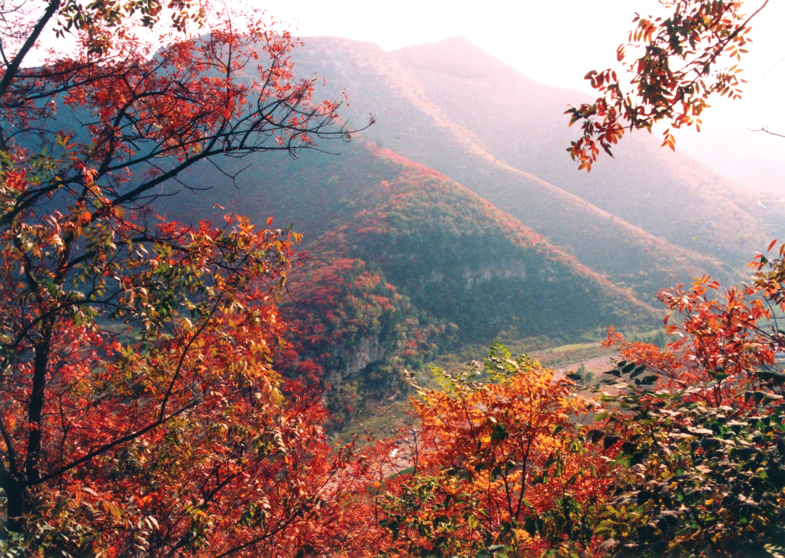 湖南凤凰山景点介绍( 湖南凤凰山景点介绍视频 )
