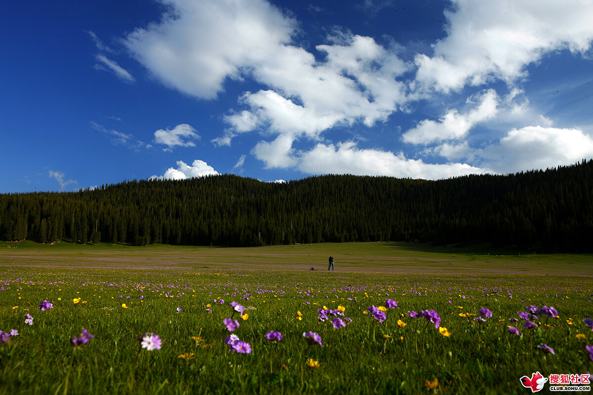 新疆准噶尔盆地
