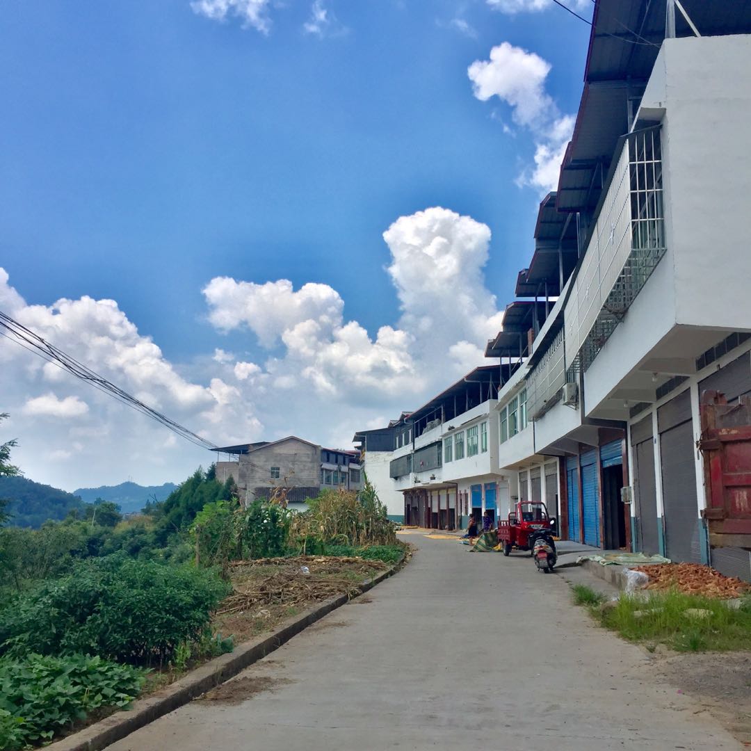  p> b>四川省巴中市通江县广纳镇石墩村,地处广纳镇西南方向,是广纳最