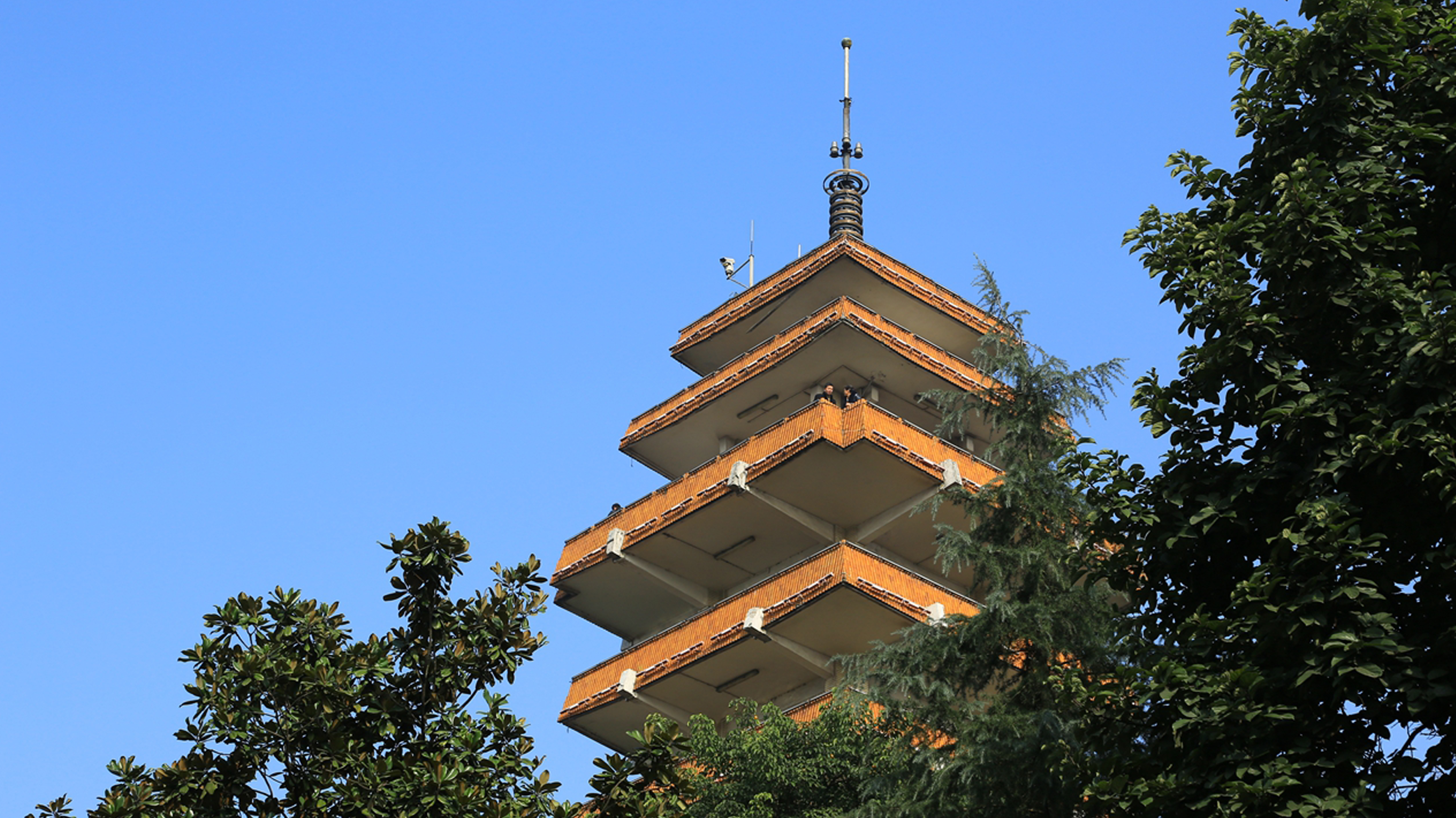 渝中鹅岭公园
