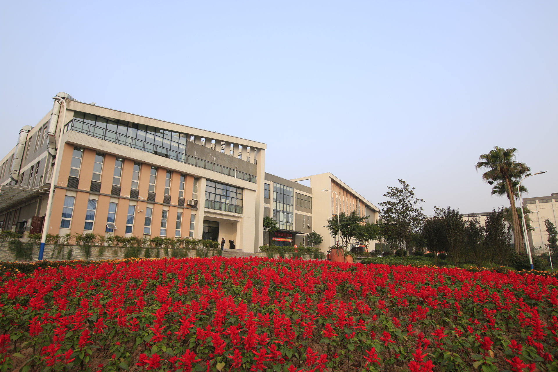 chongqing business vocational college