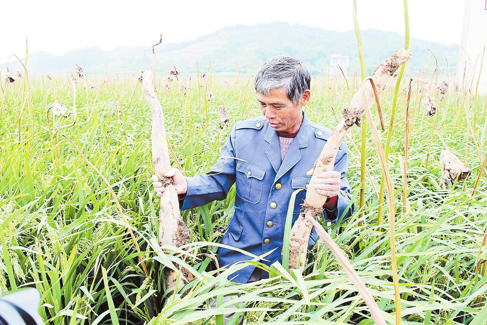 target="_blank" href="/item/黎塘镇/4848318" data-lemmaid="484831