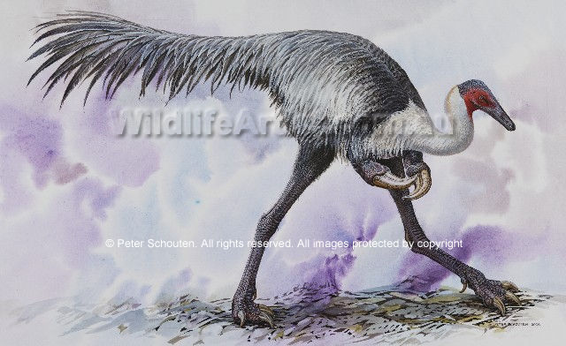  p>单爪龙(学名mononykus)意为"单一的爪",是 a href="#" data-lemma