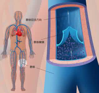 人体中有三种血管,分别是:静脉,动脉,毛细血管