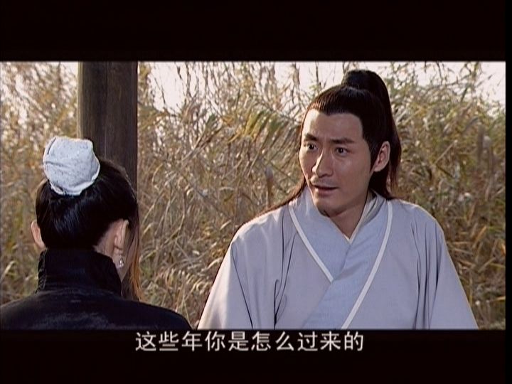 大宋惊世传奇:狸猫换太子