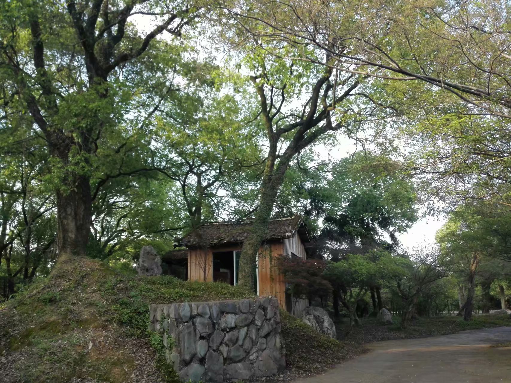 景德镇得雨生态园