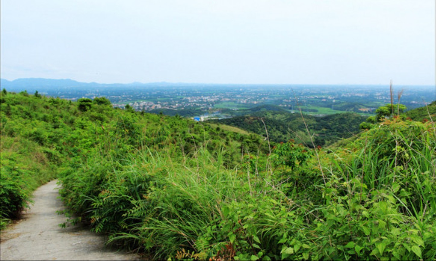 茂名旅游景点大全排名(茂名旅游景点大全排名表)