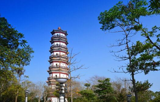 龙门县塔山森林公园