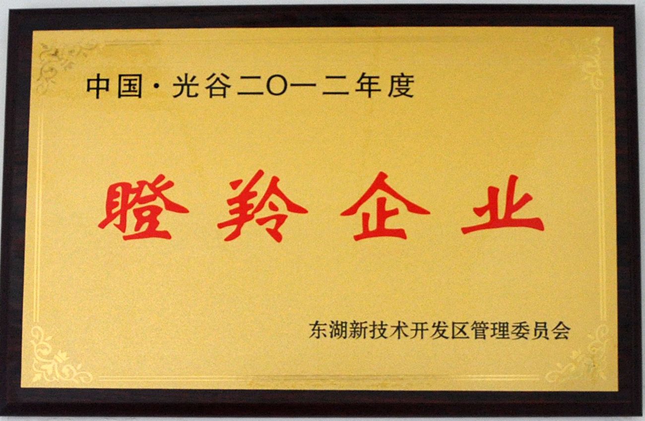 瞪羚企业