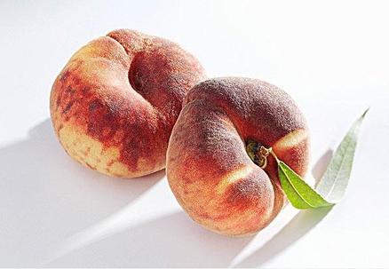  p>蟠桃(学名: i>amygdalus persica /i> l.