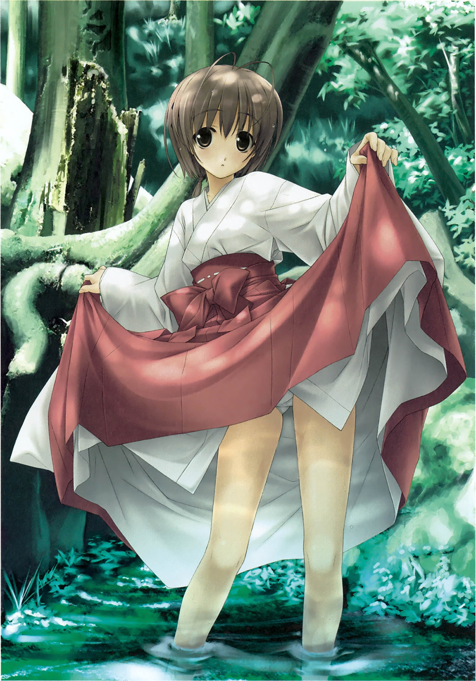  p>天女目瑛,《 a target="_blank" href="/item/缘之空/63186" data