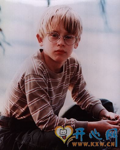 小鬼当家homealone(1990)