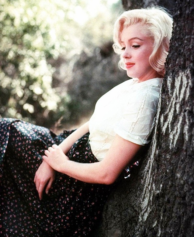  p>玛丽莲·梦露(marilyn monroe,1926-1962),1926年6月1日出生在 a
