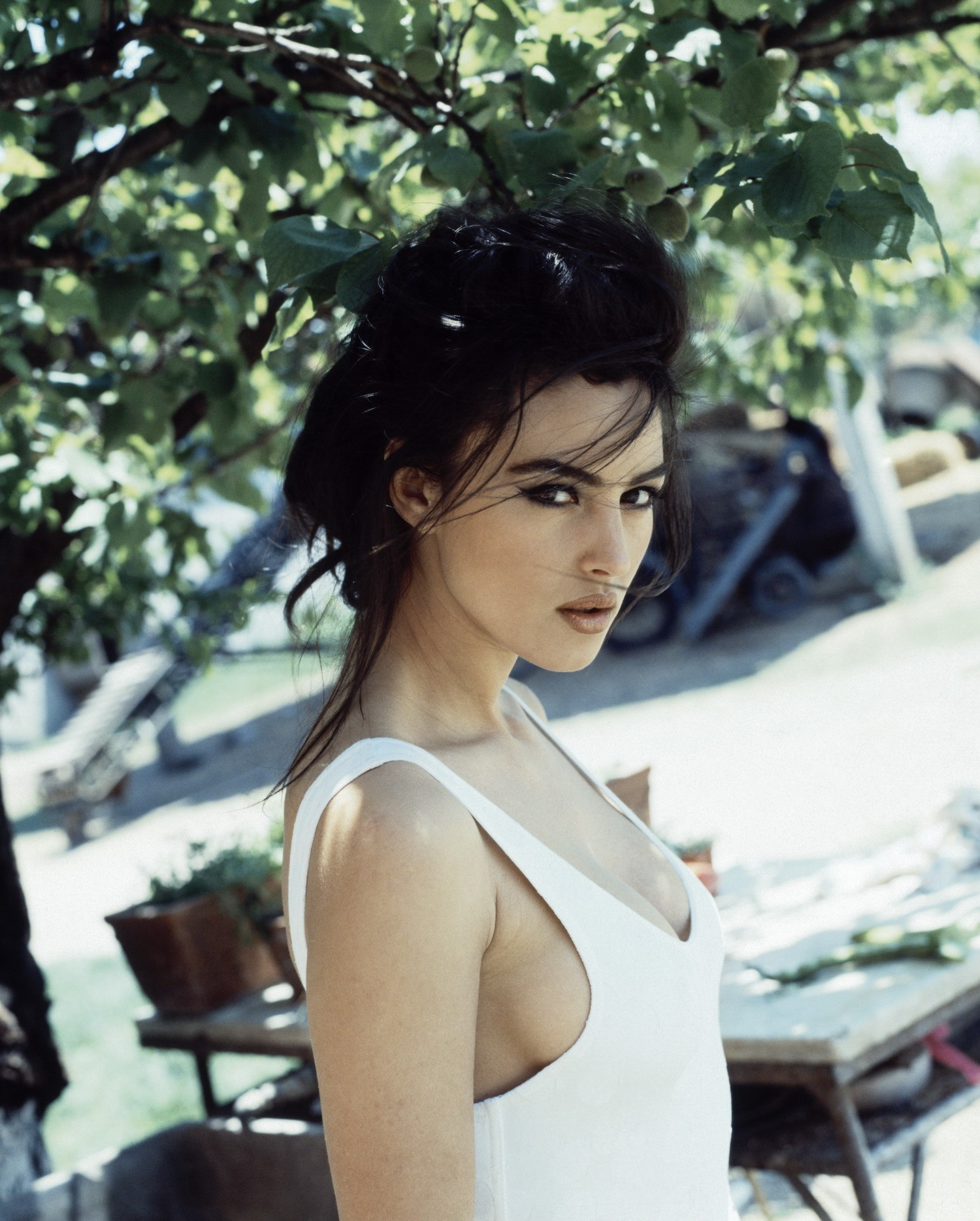  p>莫妮卡·贝鲁奇 i>(monica bellucci) /i>,1964年9月30日出生于