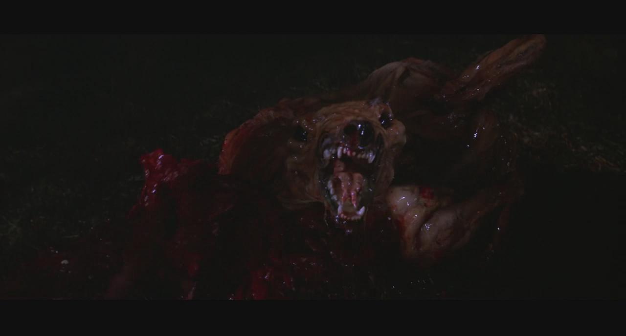  p>《怪形》 i>(the thing) /i>是 a href="#" data-lemmaid="1379061