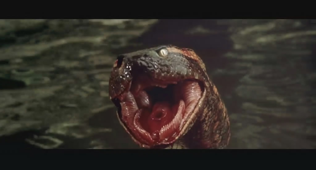狂蟒之灾anaconda(1997)