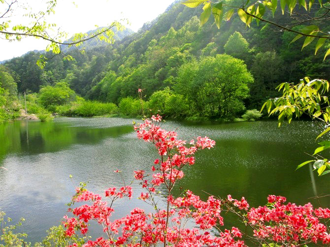  p>桃花冲地处湖北省 a target="_blank" href="/item/英山县/136454"