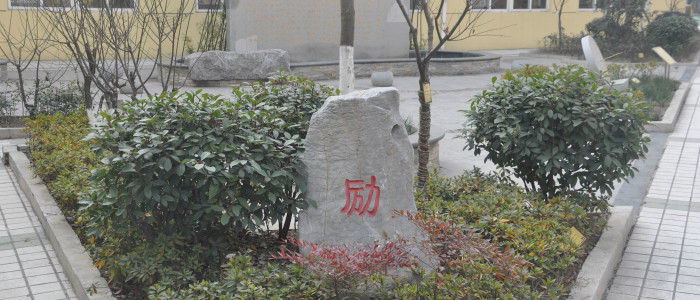  p>南京市紫竹苑小学,位于南京市的一所所厂办小学. /p>