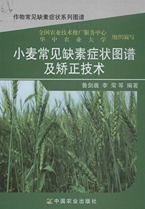 小麦常见缺素症状图谱及矫正技术(作物常见缺素症状系列图谱)
