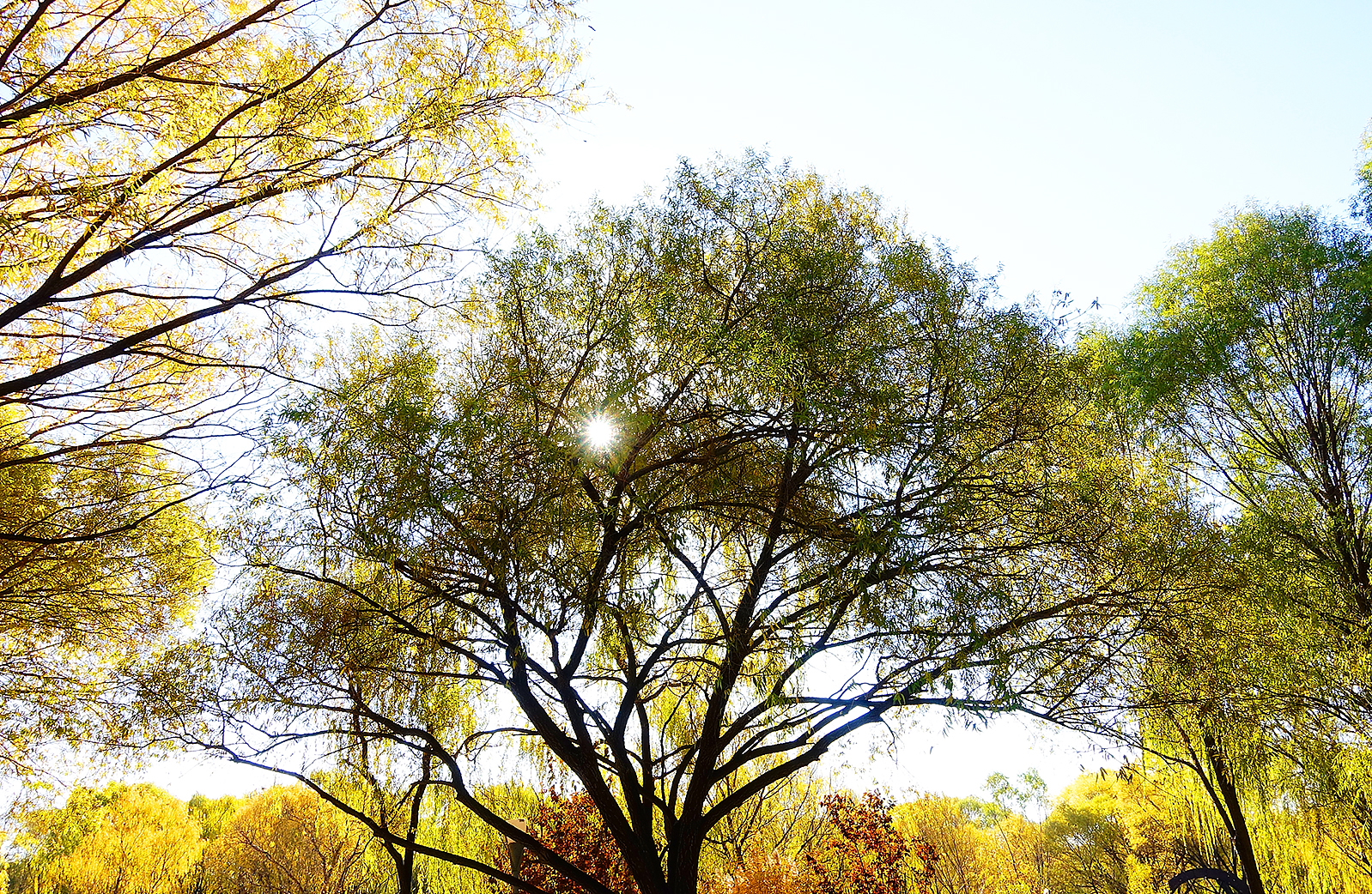  p>日月岛是大庆连环湖度假区西部一个面积约1平方公里的湖中小岛