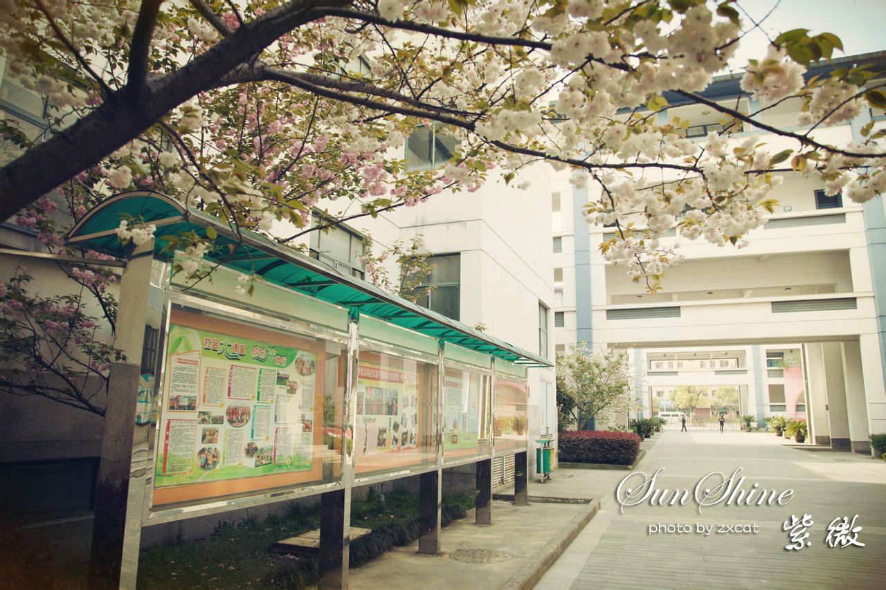  p>海宁市紫微小学创办于清光绪三十二年(1906年),其前身海宁州硖石镇