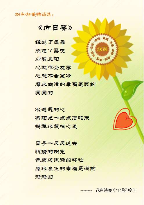 向日葵